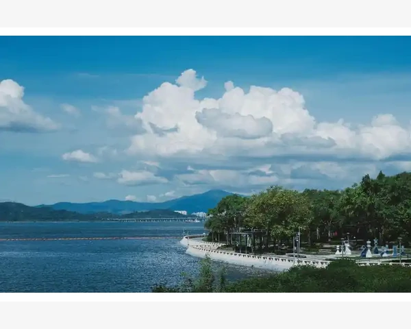 中医经典：中药调理身体，轻松养生，健康不用愁